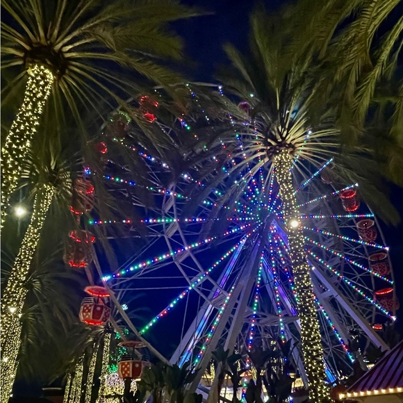 Meet your Posher, Elle - Picture 4 of 8